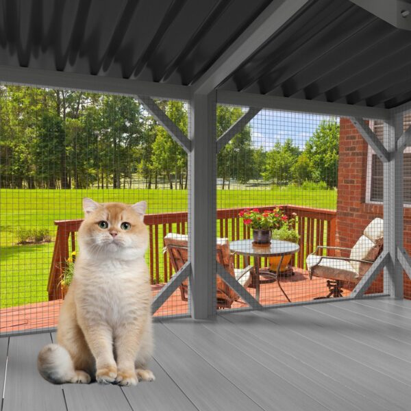 1ab4fdd6d3bc7c50ceba1122b57ddb38 window perch for indoor cats to enjoy sunlight and fresh air