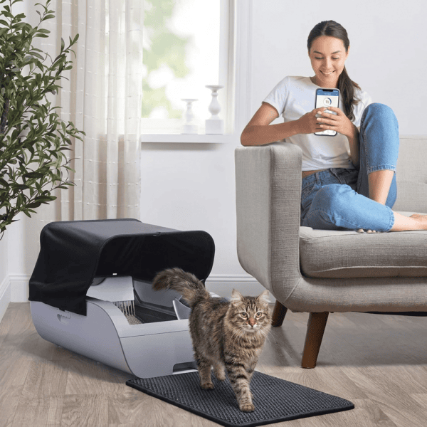 Smart automatic self-cleaning cat litter box with orange tabby — Petsy intelligent pet care