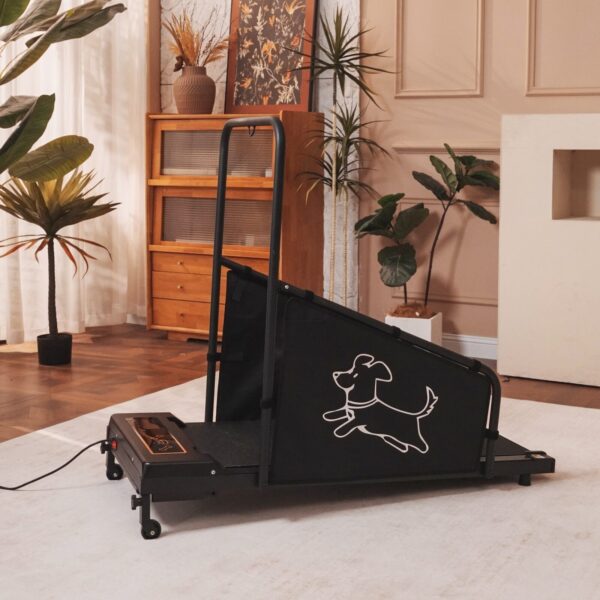 pet treadmill with remote control for easy speed adjustment