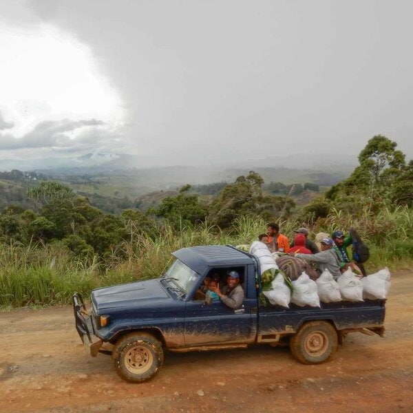 Korgua Estate AA Washed Bourbon - Image 16