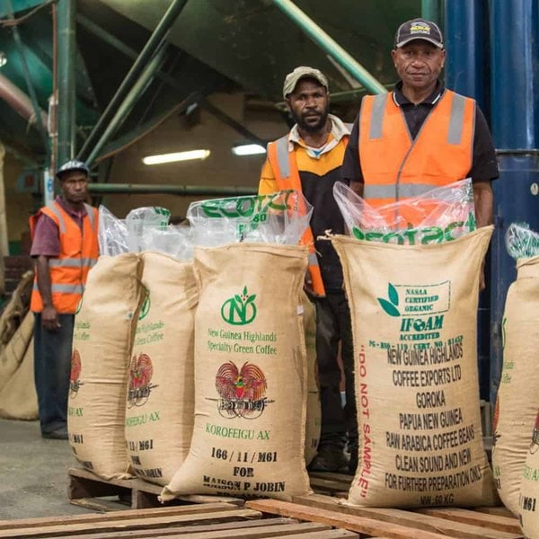 Korgua Estate AA Washed Bourbon - Image 15