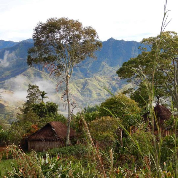 Korgua Estate AA Washed Bourbon - Image 17