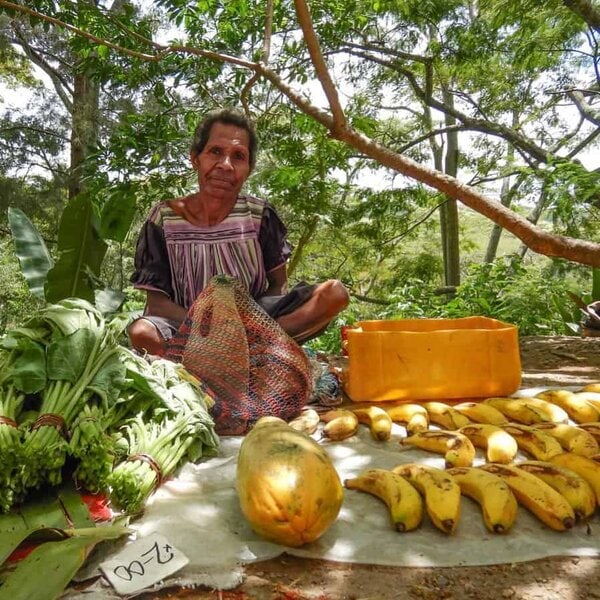 Korgua Estate AA Washed Bourbon - Image 20