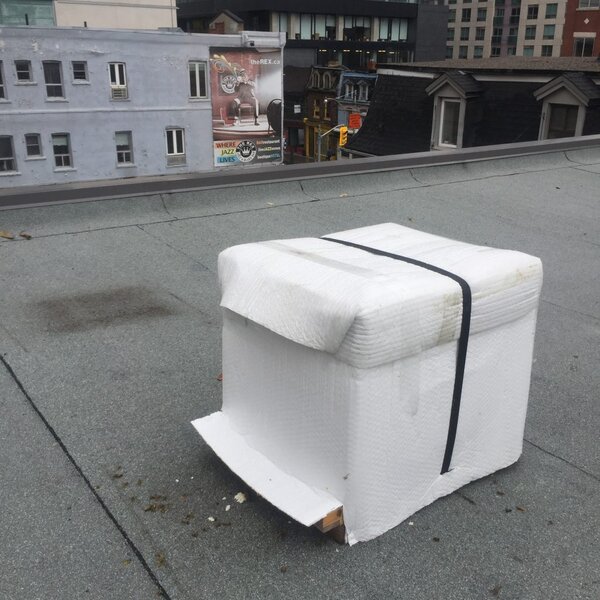 hive from The Hunny Pot urban beehive | Hunny Pot Cannabis bees from The Hunny Pot Cannabis Co urban beehive