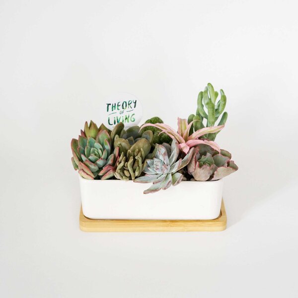 Ceramic Vase | Rectangular