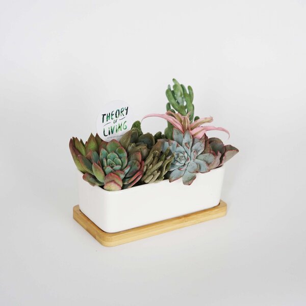 Ceramic Vase | Rectangular - Image 2