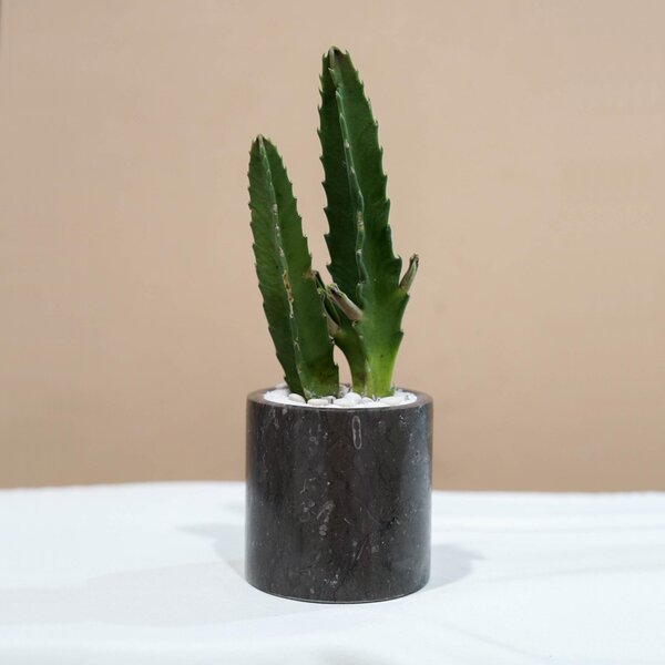 Small Marble Pot (5 Colors) - Image 9