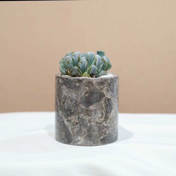 Small Marble Pot (5 Colors) - Image 4