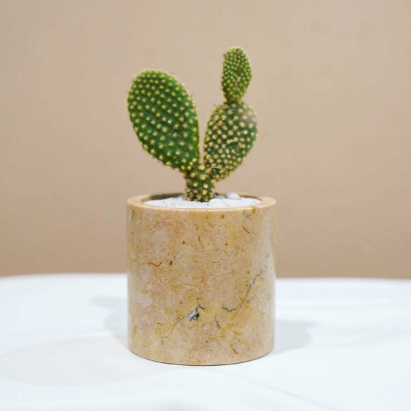 Small Marble Pot (5 Colors) - Image 7