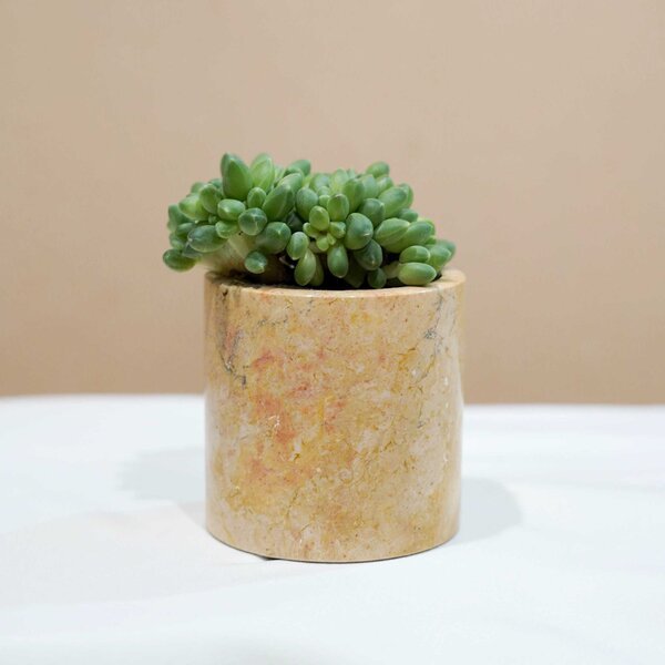 Small Marble Pot (5 Colors) - Image 6