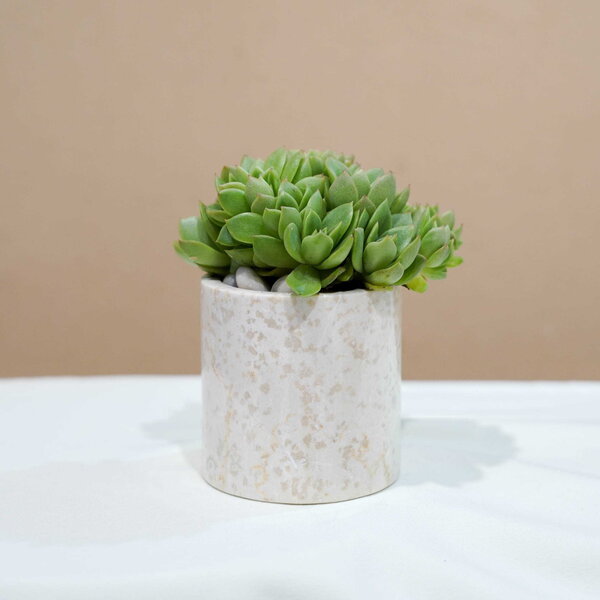 Small Marble Pot (5 Colors) - Image 10