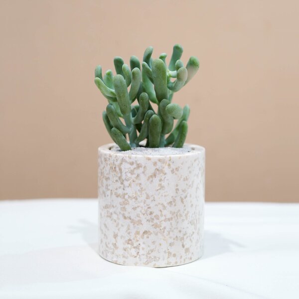 Small Marble Pot (5 Colors) - Image 11