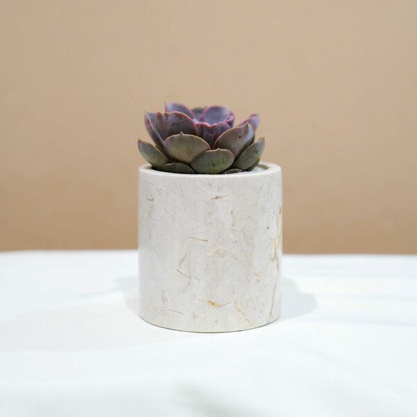 Small Marble Pot (5 Colors) - Image 3