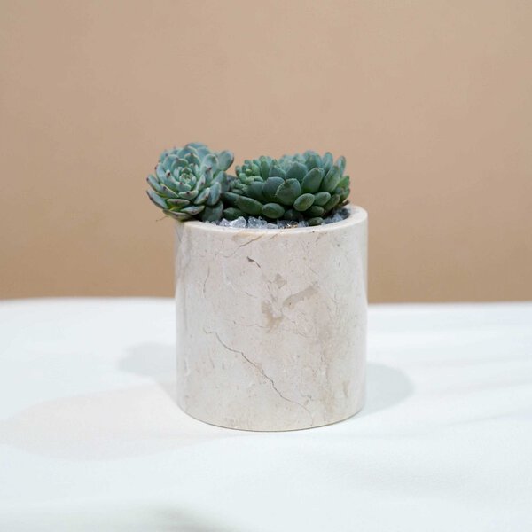Small Marble Pot (5 Colors) - Image 2