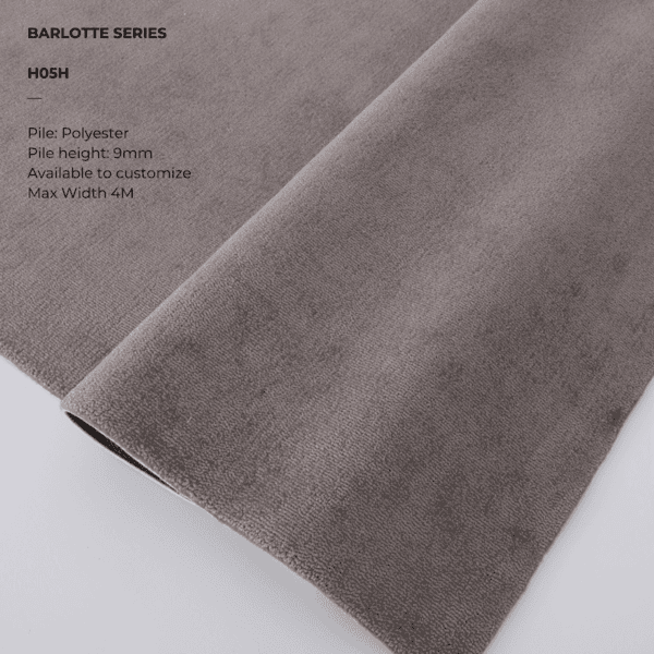 Barlotte Series H05H - Image 3