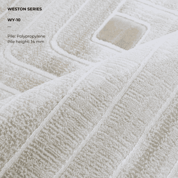 Weston Series WY-10 - Image 3