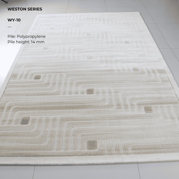 Weston Series WY-10 - Image 4