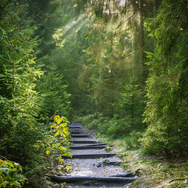 Story-First Design: Why a Strategic Website Converts Better