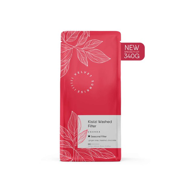 Kisiizi Washed Filter