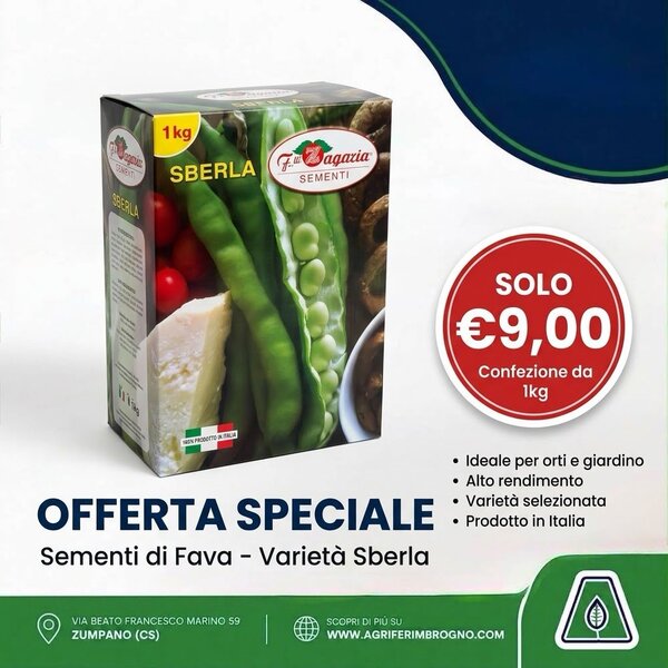 Semi di Fava Sberla F.lli Zagaria Sementi 1 Kg – Varietà a Baccello Lungo per Orto e Pieno Campo