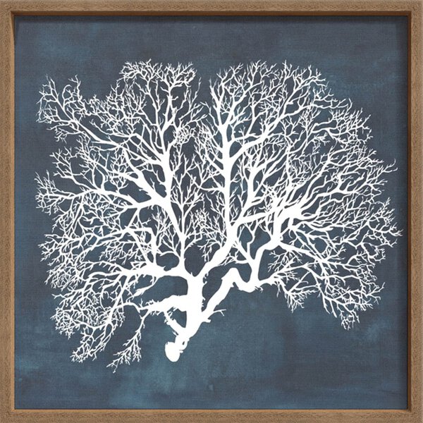 Inverse Sea Fan III - Canvas on Board Coyote Oak Shelf