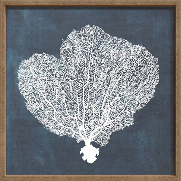 Inverse Sea Fan I - Canvas on Board Coyote Oak Shelf