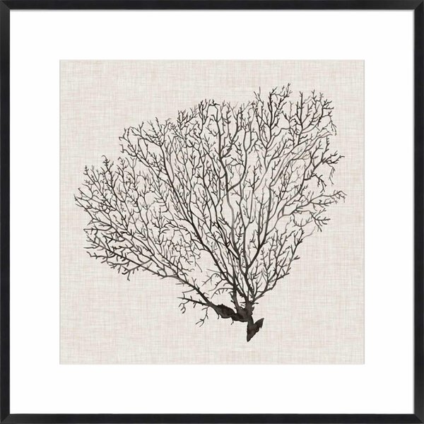 Shadow Sea Fan IV - 10cm Mount Board Box Black
