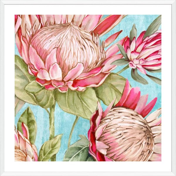 Popping King Protea I - 5cm White Border Box White