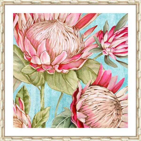 Popping King Protea I - 5cm White Border Champagne Bamboo