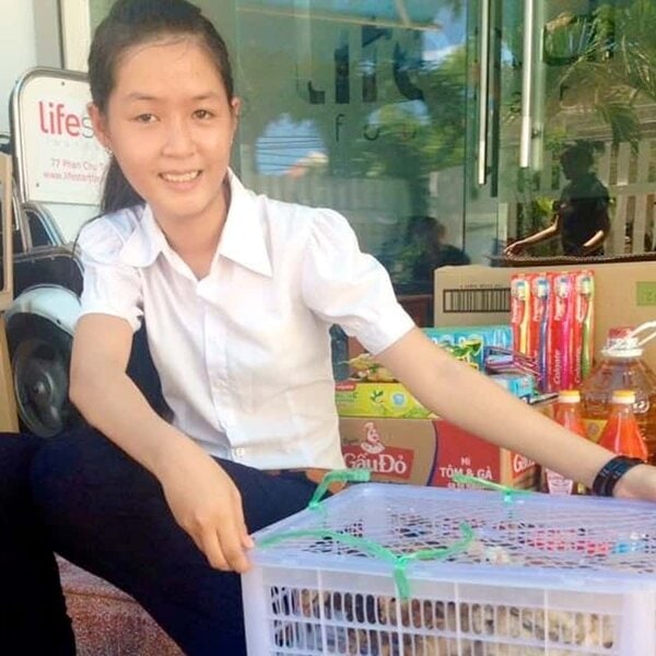 A Family Of Chickens - Image 2