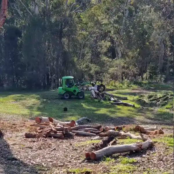 Tree Removal Gladesville