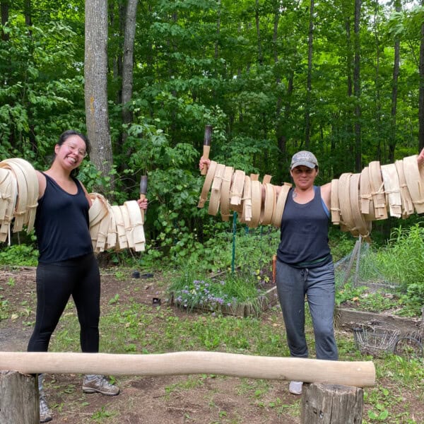The Enduring Art of BlackAsh Basketry Native Arts and Cultures