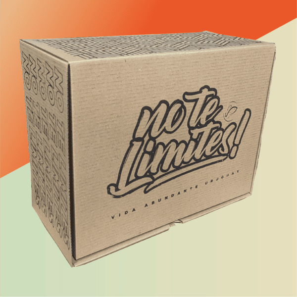 Caja de 22x28x13