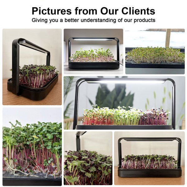 Smart Microgreen Kit — Germogliatore Intelligente con Luce LED - immagine 6