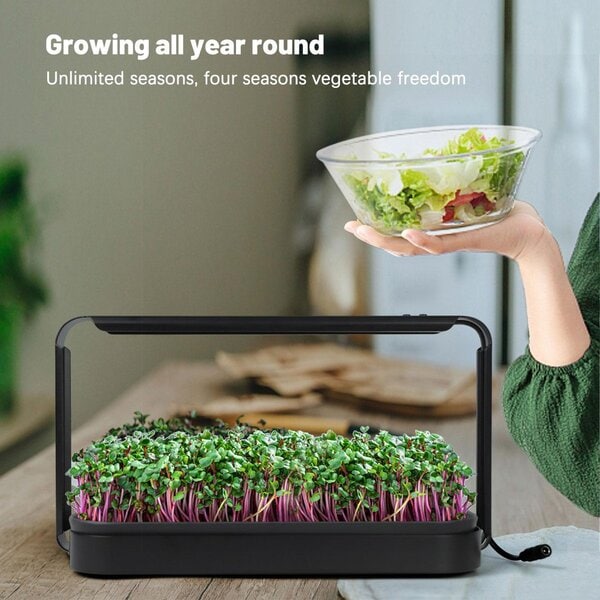 Smart Microgreen Kit — Germogliatore Intelligente con Luce LED - immagine 2