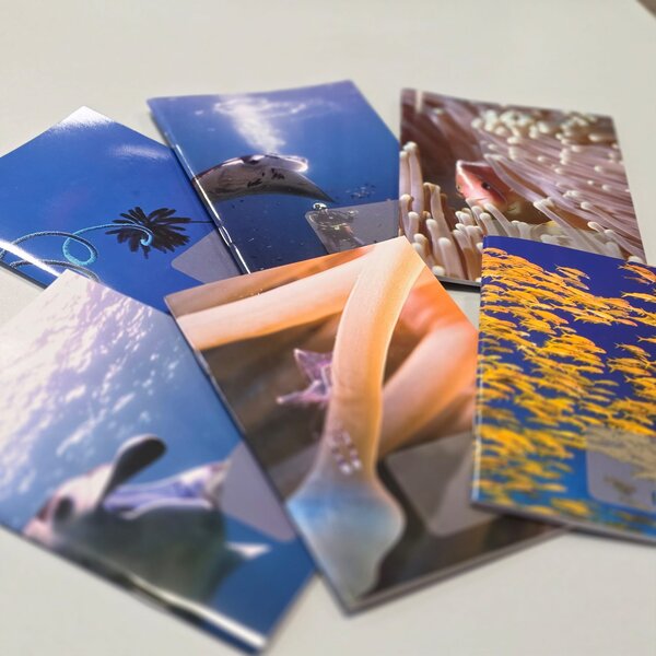 Denik logbook ALEA Divers