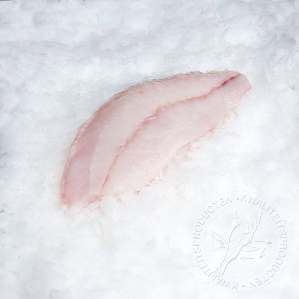 Tarbotfilet zonder vel