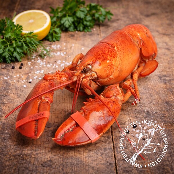 kreeft gekookt