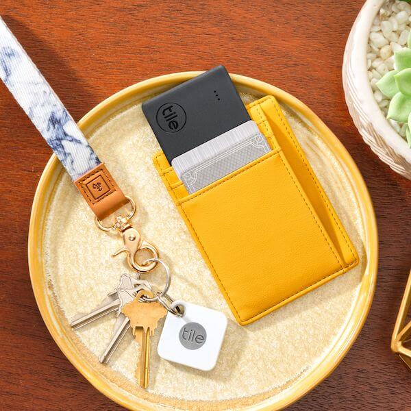 How-to-Transfer-a-Tile-Bluetooth-Tracker-to-a-Friend-or-Someone-Else