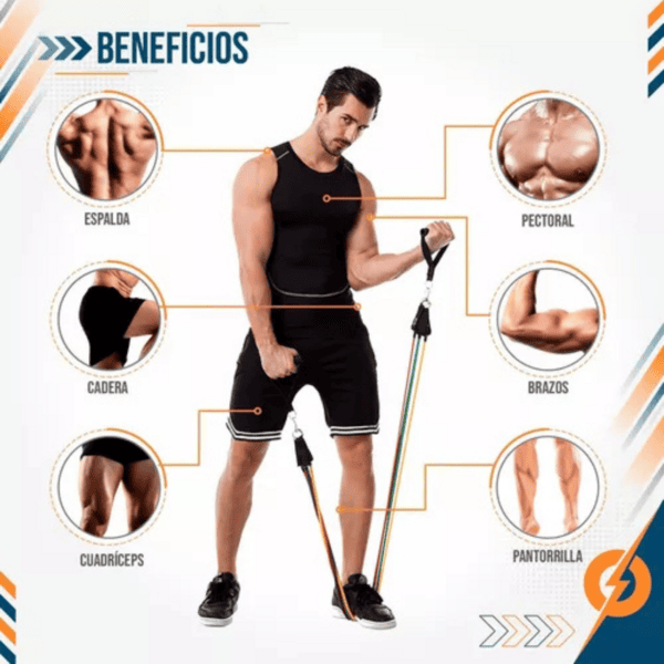Kit Bandas Elasticas De Resistencia Gym - Imagen 3