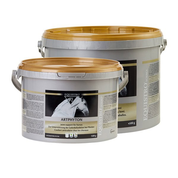 Equistro Artphyton – Cheval