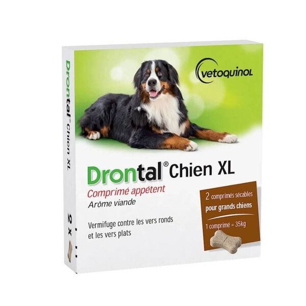 drontal chien xl