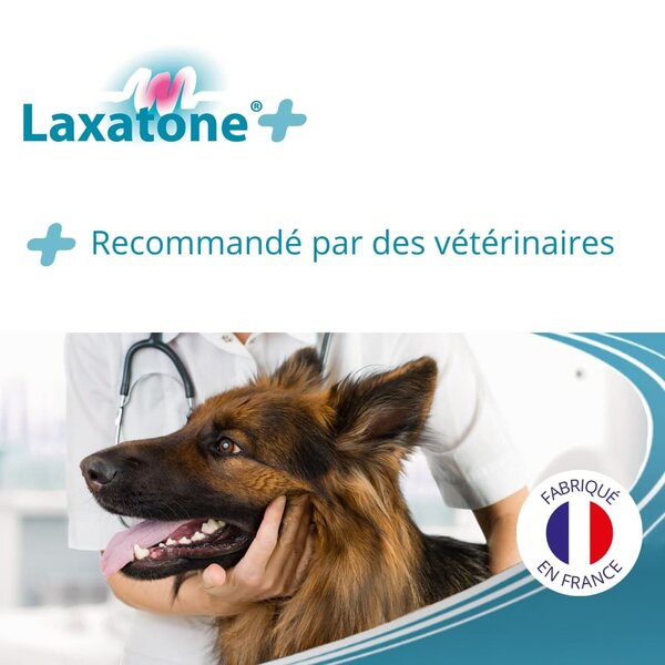 Ceva Laxatone Plus 100 g – Chien et Chat