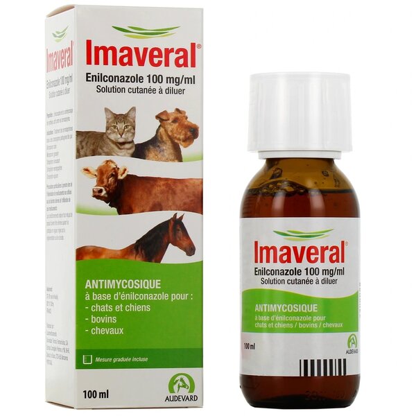 Audevard Imaveral Cheval et bovin – Antimycosique