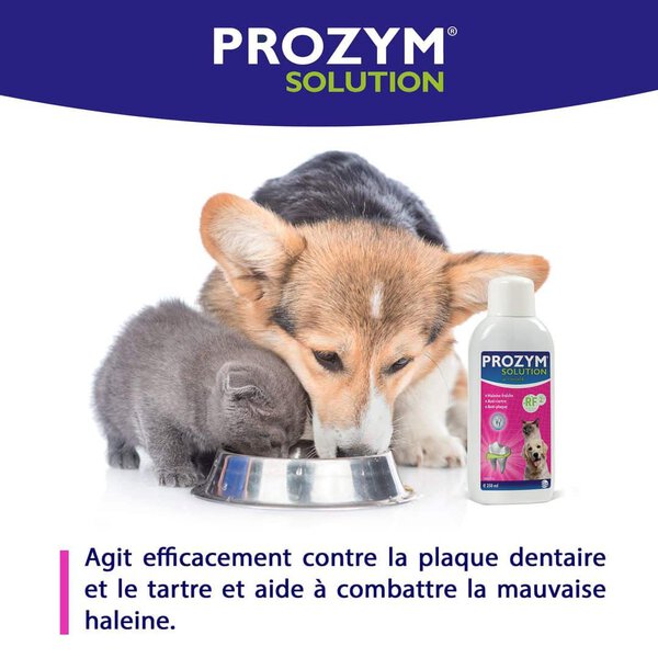 Prozym RF2 Solution – Chien et Chat