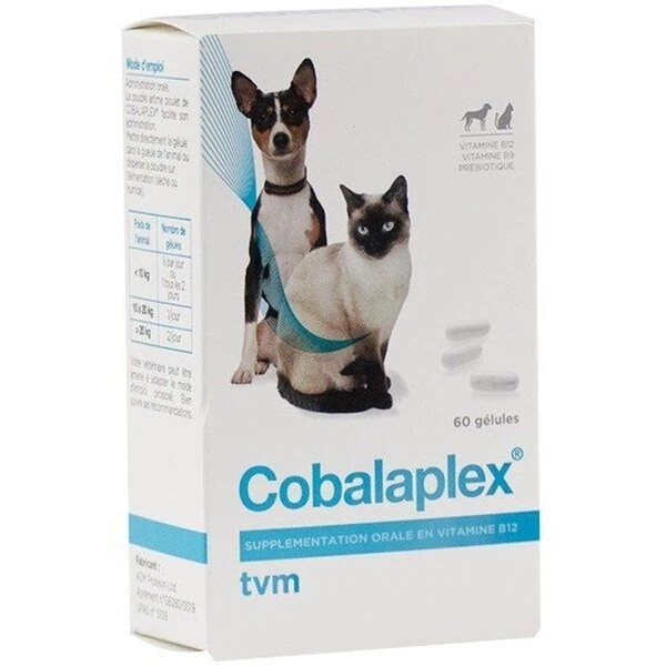 injection vitamine b12 chien Cobalaplex B9 prébiotiques et chat Mobile B12 Shots Orlando