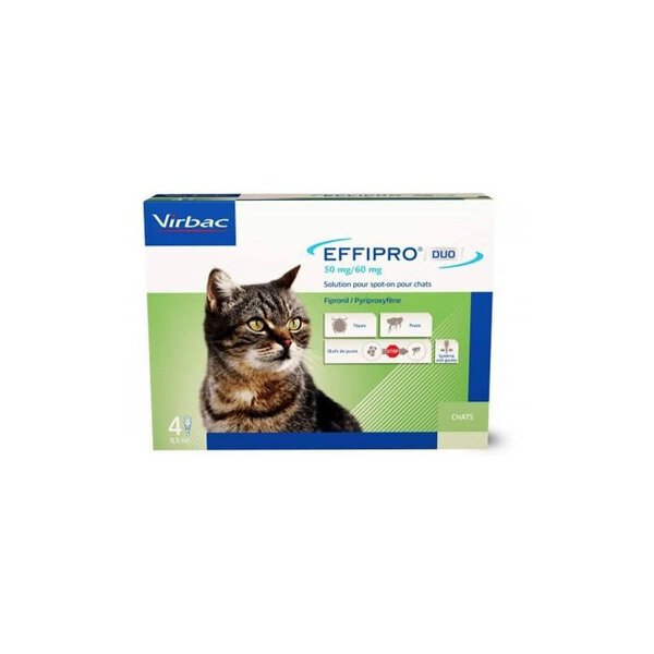 Effipro Duo Chat Pipettes : Une Solution Complète Contre les Puces et les Tiques