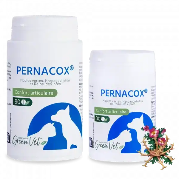 Green Vet Pernacox : Soutien Articulaire pour Chiens et Chats