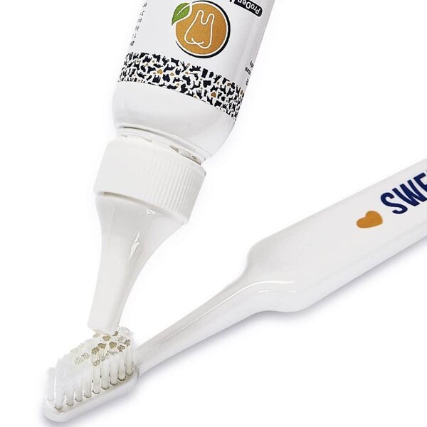 ProDen Dentifrice Liquide 25 mL – Chien