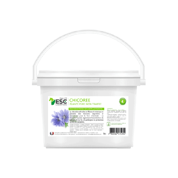 Chicorée de l'Esc Laboratoire - Plante Pure Digestion 1kg
